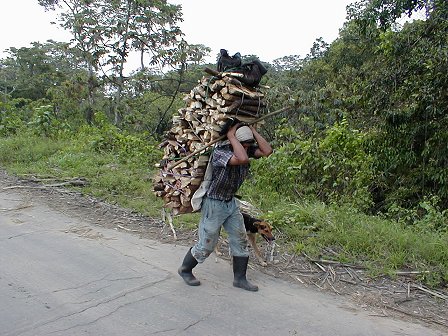 On the road to El Baul